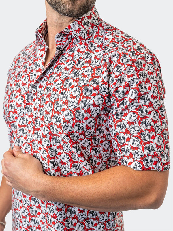 Maceoo Stretch Short-Sleeve Shirt | Galileo FrenchieBow Red