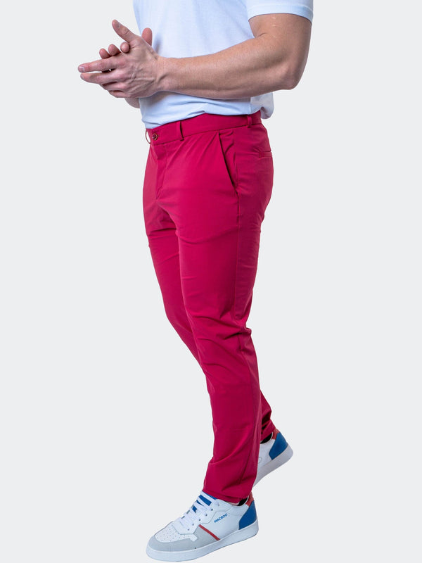 Maceoo Stretch Pant | Pants AllDayBurgundy Red